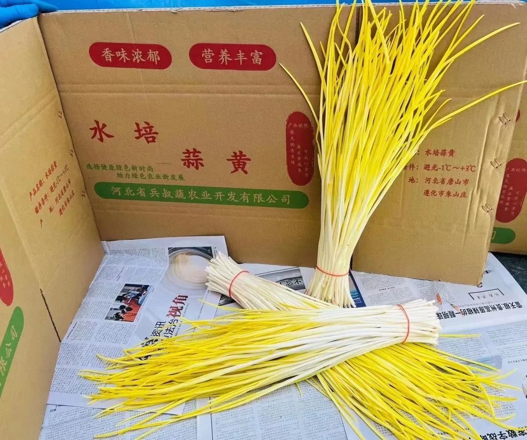 微信圖片_20230317144113.jpg