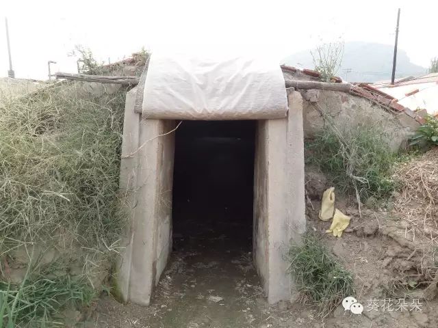 微信圖片_20230317144122.jpg