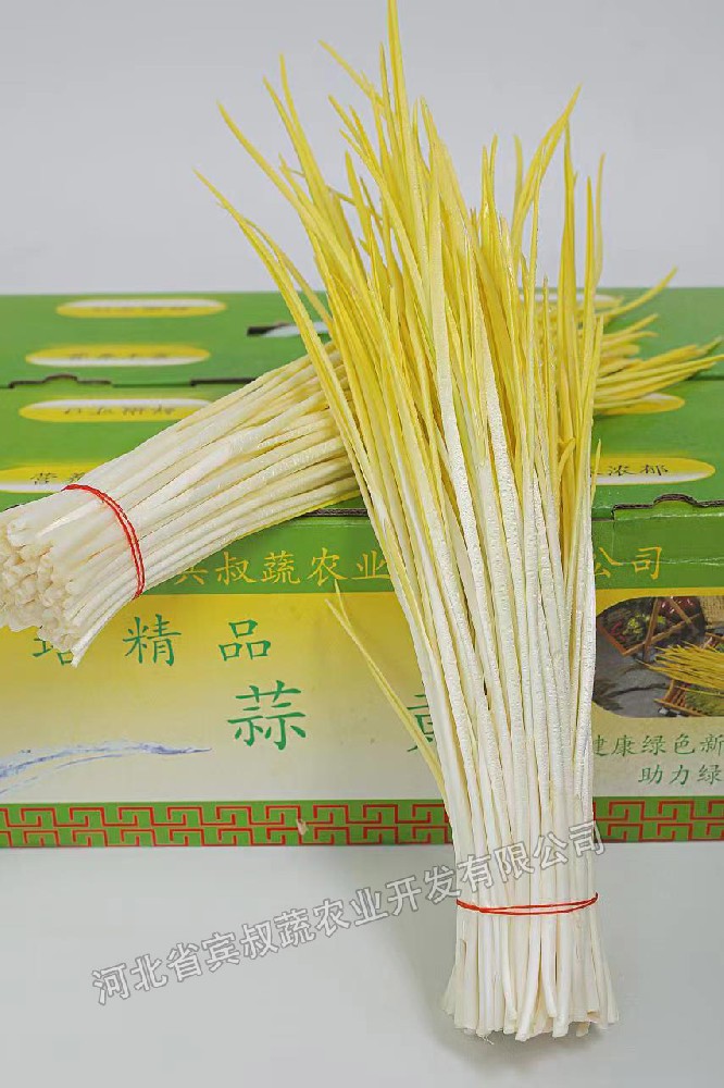 蒜黃